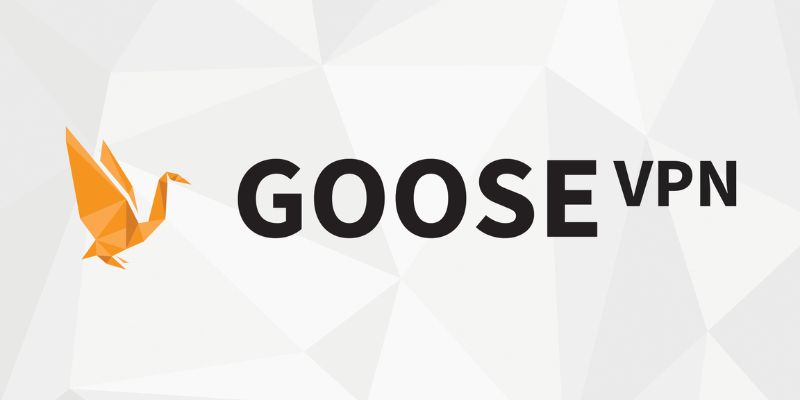 Giới thiệu về Goose VNP 